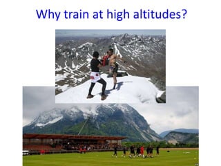 Why train at high altitudes?

 