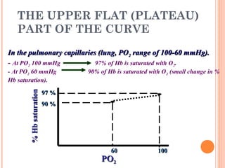 THE UPPER FLAT (PLATEAU)
PART OF THE CURVE
POPO22
%Hbsaturation%Hbsaturation
1001006060
97 %97 %
90 %90 %
In the pulmonary capillaries (lung, POIn the pulmonary capillaries (lung, PO22 range of 100-60 mmHg).range of 100-60 mmHg).
- At PO2 100 mmHg 97% of Hb is saturated with O2.
- At PO2 60 mmHg 90% of Hb is saturated with O2 (small change in %
Hb saturation).
 