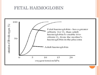 FETAL HAEMOGLOBIN
 