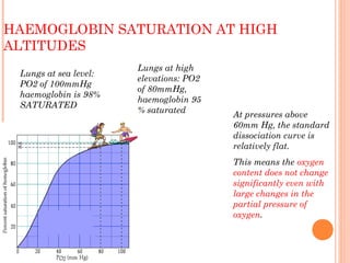 HAEMOGLOBIN SATURATION AT HIGH
ALTITUDES
Lungs at sea level:
PO2 of 100mmHg
haemoglobin is 98%
SATURATED
Lungs at high
elevations: PO2
of 80mmHg,
haemoglobin 95
% saturated
At pressures above
60mm Hg, the standard
dissociation curve is
relatively flat.
This means the oxygen
content does not change
significantly even with
large changes in the
partial pressure of
oxygen.
 