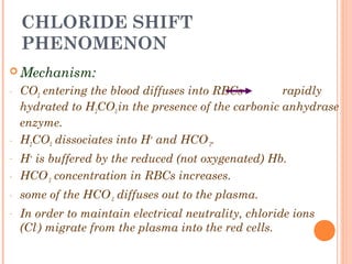 CHLORIDE SHIFT
PHENOMENON
 Mechanism:
- CO2 entering the blood diffuses into RBCs rapidly
hydrated to H2CO3 in the presence of the carbonic anhydrase
enzyme.
- H2CO3 dissociates into H+
and HCO-
3.
- H+
is buffered by the reduced (not oxygenated) Hb.
- HCO-
3 concentration in RBCs increases.
- some of the HCO-
3 diffuses out to the plasma.
- In order to maintain electrical neutrality, chloride ions
(Cl-
) migrate from the plasma into the red cells.
 
