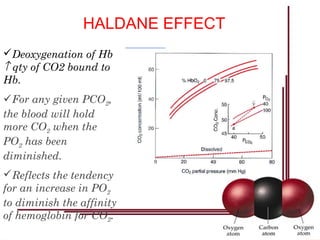 Deoxygenation of Hb
↑ qty of CO2 bound to
Hb.
For any given PCO2,
the blood will hold
more CO2 when the
PO2 has been
diminished.
Reflects the tendency
for an increase in PO2
to diminish the affinity
of hemoglobin for CO2.
HALDANE EFFECT
 