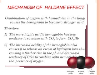 Combination of oxygen with hemoglobin in the lungs
causes the hemoglobin to become a stronger acid.
Therefore:
1) The more highly acidic hemoglobin has less
tendency to combine with CO2 to form CO2 Hb
2) The increased acidity of the hemoglobin also
causes it to release an excess of hydrogen ions thus
causing a further rise in the ph and decreased
tendency of CO2 to combine with hemoglobin in
the presence of oxygen.
MECHANISM OF HALDANE EFFECT
 