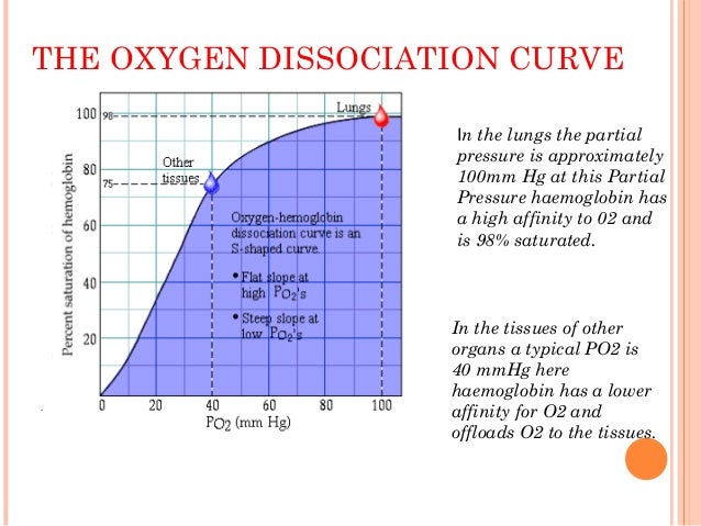 oxygen dissociation curve oxyhemoglobin dissociation curve