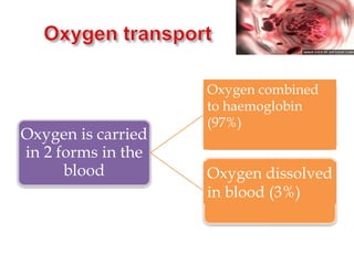 Oxygen is carried
in 2 forms in the
blood
Oxygen combined
to haemoglobin
(97%)
Oxygen dissolved
in blood (3%)
 