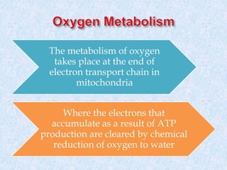 The metabolism of oxygen
takes place at the end of
electron transport chain in
mitochondria
Where the electrons that
accumulate as a result of ATP
production are cleared by chemical
reduction of oxygen to water
 