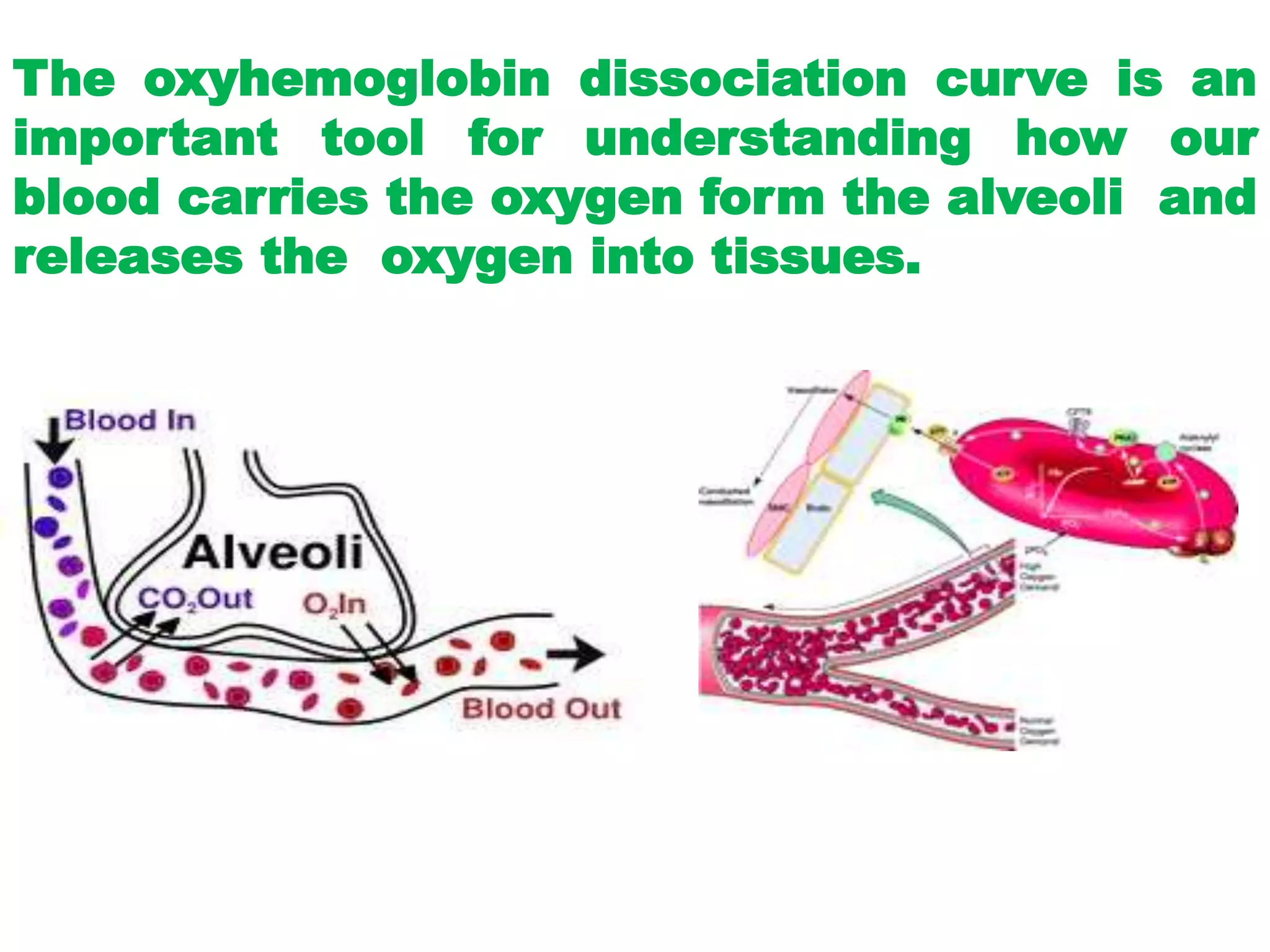 The oxyhemoglobin dissociation curve is an
important tool for understanding how our
blood carries the oxygen form the alveoli and
releases the oxygen into tissues.
 