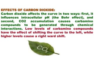 EFFECTS OF CARBON DIOXIDE:
Carbon dioxide affects the curve in two ways: first, it
influences intracellular pH (the Bohr effect), and
second, CO2 accumulation causes carbamino
compounds to be generated through chemical
interactions. Low levels of carbamino compounds
have the effect of shifting the curve to the left, while
higher levels cause a right ward shift.
 
