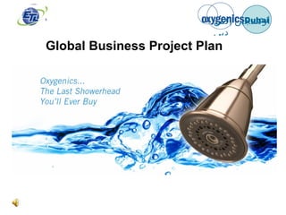 Global Business Project Plan 
