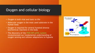 Oxygen is a essential for life , some time a killer as well | PDF