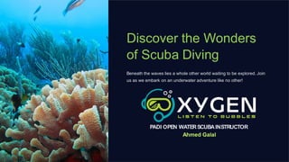 Discover the Wonders
of Scuba Diving
Beneath the waves lies a whole other world waiting to be explored. Join
us as we embark on an underwater adventure like no other!
PADI OPEN WATERSCUBAINSTRUCTOR
Ahmed Galal
 