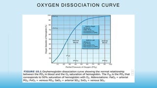 OXYGEN DISSOCIATION CURVE
 