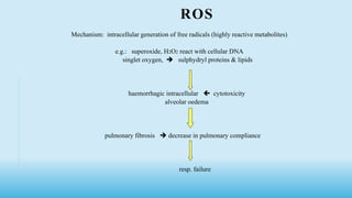 ROS
Mechanism: intracellular generation of free radicals (highly reactive metabolites)
e.g.: superoxide, H2O2 react with cellular DNA
singlet oxygen,  sulphydryl proteins & lipids
haemorrhagic intracellular  cytotoxicity
alveolar oedema
pulmonary fibrosis  decrease in pulmonary compliance
resp. failure
 