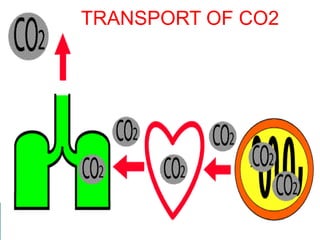 TRANSPORT OF CO2
 