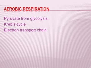 AEROBIC RESPIRATION
Pyruvate from glycolysis.
Kreb’s cycle
Electron transport chain
 