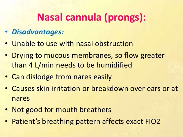 define nasal cannula