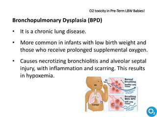 Bronchopulmonary Dysplasia (BPD)
• It is a chronic lung disease.
• More common in infants with low birth weight and
those who receive prolonged supplemental oxygen.
• Causes necrotizing bronchiolitis and alveolar septal
injury, with inflammation and scarring. This results
in hypoxemia.
O2 toxicity in Pre-Term LBW Babies!
 