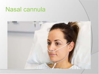 Nasal cannula
 