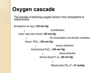 Oxygen cascade
 