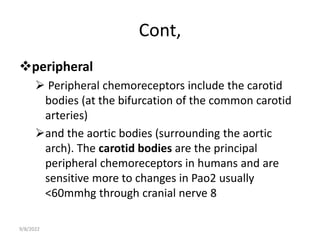 Cont,
peripheral
 Peripheral chemoreceptors include the carotid
bodies (at the bifurcation of the common carotid
arteries)
and the aortic bodies (surrounding the aortic
arch). The carotid bodies are the principal
peripheral chemoreceptors in humans and are
sensitive more to changes in Pao2 usually
<60mmhg through cranial nerve 8
9/8/2022
 