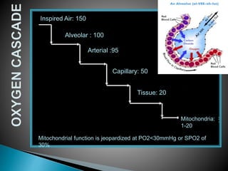 Inspired Air: 150 
Alveolar : 100 
Arterial :95 
Capillary: 50 
Tissue: 20 
Mitochondria: 
1-20 
Mitochondrial function is jeopardized at PO2<30mmHg or SPO2 of 
30% 
 