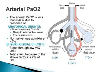  The arterial PaO2 is less 
than PAO2 due to 
presence of: 
 
 Intrapulmonary Shunts 
 Deep true bronchial veins 
 Thebesian veins 
 Normal venous admixture 
<5% 
 
Blood through low V/Q 
units 
 Total shunt because of the 
above factors is 2% of 
CO. 
 