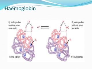 Haemoglobin
 