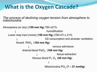 What is the Oxygen Cascade?
The process of declining oxygen tension from atmosphere to
mitochondria
Atmosphere air (dry) (159 mm Hg) 760 x21%
↓ humidification
Lower resp tract (moist) (150 mm Hg) (760-47) x 21%
↓ O2 consumption and alveolar ventilation
Alveoli PAO2 (104 mm Hg)
↓ venous admixture
Arterial blood PaO2 (100 mm Hg)
↓ tissue extraction
Venous blood PV O2 (40 mm Hg)
↓
Mitochondria PO2 (7 – 37 mmHg)
 