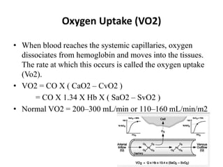 Oxygen Uptake (VO2)
• When blood reaches the systemic capillaries, oxygen
dissociates from hemoglobin and moves into the tissues.
The rate at which this occurs is called the oxygen uptake
(Vo2).
• VO2 = CO X ( CaO2 – CvO2 )
= CO X 1.34 X Hb X ( SaO2 – SvO2 )
• Normal VO2 = 200–300 mL/min or 110–160 mL/min/m2
 