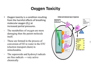 Oxygen Toxicity
• Oxygen toxicity is a condition resulting
from the harmful effects of breathing
molecular oxygen (O2) at
increased partial pressures.
• The metabolites of oxygen are more
damaging than the parent molecule
itself.
• These are formed in the process of
conversion of O2 to water in the ETC
(electron transport chain) in
mitochondria.
• The superoxide and hydroxyl radicals
are free radicals → very active
chemically
 