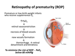 Retinopathy of prematurity (ROP)
Premature or low-birth-weight infants
who receive supplemental O2
↑PaO2
↓
retinal vasoconstriction
↓
necrosis of blood vessels
↓
new vessels formation
↓
Hemorrhage → retinal
detachment and blindness
To minimize the risk of ROP - PaO2
below 80 mmHg
 