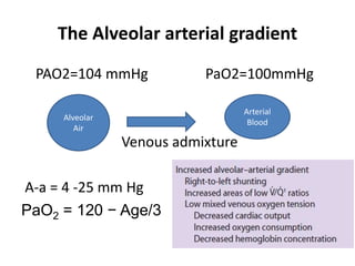 The Alveolar arterial gradient
PAO2=104 mmHg PaO2=100mmHg
Venous admixture
A-a = 4 -25 mm Hg
PaO2 = 120 − Age/3
Alveolar
Air
Arterial
Blood
 