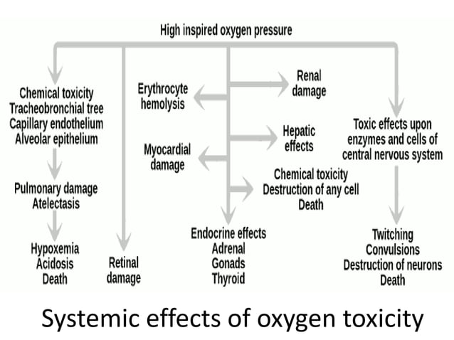 O2 Toxicity Oxygen Toxicity Explained | Oxygen Toxicity – RGDDAN