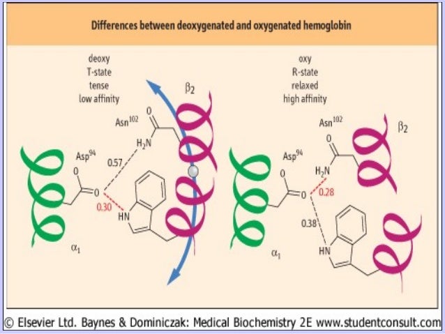 Has A Stronger Affinity For Hemoglobin Than Oxygen Has Oxygen transport
