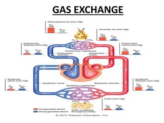 GAS EXCHANGE
 