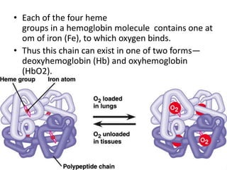 • Each of the four heme
groups in a hemoglobin molecule contains one at
om of iron (Fe), to which oxygen binds.
• Thus this chain can exist in one of two forms—
deoxyhemoglobin (Hb) and oxyhemoglobin
(HbO2).
 