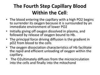 The Fourth Step Capillary Blood
Within the Cell:
• The blood entering the capillary with a high PO2 begins
to surrender its oxygen because it is surrounded by an
immediate environment of lower PO2
• Initially giving off oxygen dissolved in plasma, and
followed by release of oxygen bound to Hb.
• The principal force driving diffusion is the gradient in
pO2 from blood to the cells
• The oxygen dissociation characteristics of Hb facilitate
the rapid and efficient unloading of oxygen within the
capillary.
• The O2ultimately diffuses from the microcirculation
into the cells and finally into the mitochond
 