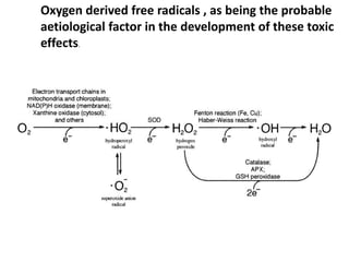 Oxygen derived free radicals , as being the probable
aetiological factor in the development of these toxic
effects.
 