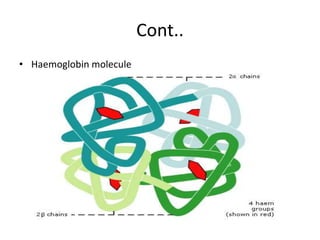 Cont..
• Haemoglobin molecule
 