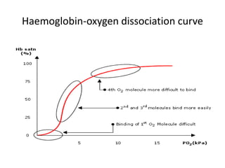 Haemoglobin-oxygen dissociation curve
 