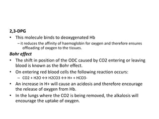 2,3-DPG
• This molecule binds to deoxygenated Hb
– it reduces the affinity of haemoglobin for oxygen and therefore ensures
offloading of oxygen to the tissues.
Bohr effect
• The shift in position of the ODC caused by CO2 entering or leaving
blood is known as the Bohr effect.
• On entering red blood cells the following reaction occurs:
– CO2 + H2O ↔ H2CO3 ↔ H+ + HCO3-
• An increase in H+ will cause an acidosis and therefore encourage
the release of oxygen from Hb.
• In the lungs where the CO2 is being removed, the alkalosis will
encourage the uptake of oxygen.
 