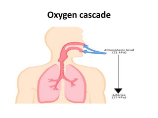 Oxygen cascade
 