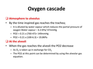 Oxygen cascade
 Atmosphere to alveolus
• By the time inspired gas reaches the trachea;
– It is diluted by water vapour which reduces the partial pressure of
oxygen Water vapour – 6.3 KPa/ 47mmHg
– PO2 = 0.21 x (760-47)= 149mmHg
– PO2 = 0.21 x (100-6.3) = 19.8KPa
 At the alveoli
• When the gas reaches the alveoli the PO2 decrease
– As O2 is taken up in exchange for CO2
– The PO2 at this point can be determined by using the alveolar gas
equation.
 