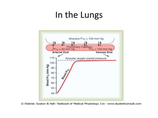 Oxygen Transport.ppt
