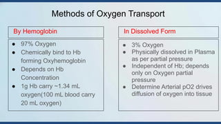 Comprehensive Overview of Oxygen Transport and Diffusion in Human ...
