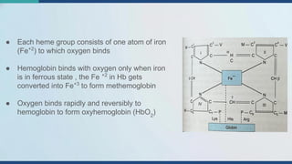 Comprehensive Overview of Oxygen Transport and Diffusion in Human ...