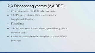 Comprehensive Overview of Oxygen Transport and Diffusion in Human ...
