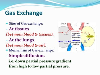 Gas Exchange
 Sites of Gas exchange:
- At tissues
(between blood & tissues).
- At the lungs
(between blood & air).
 Mechanism of Gas exchange:
- Simple diffusion.
i.e. down partial pressure gradient.
from high to low partial pressure.
 
