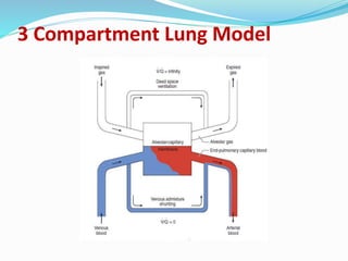 3 Compartment Lung Model
 