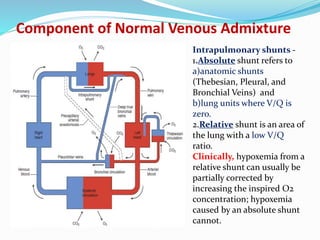 Component of Normal Venous Admixture
Intrapulmonary shunts -
1.Absolute shunt refers to
a)anatomic shunts
(Thebesian, Pleural, and
Bronchial Veins) and
b)lung units where V/Q is
zero.
2.Relative shunt is an area of
the lung with a low V/Q
ratio.
Clinically, hypoxemia from a
relative shunt can usually be
partially corrected by
increasing the inspired O2
concentration; hypoxemia
caused by an absolute shunt
cannot.
 